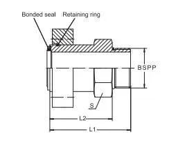 Fully Stocked Factory Supply Retaining Nut for Hydraulic Fittings L. T. DIN 3870 Number: ...